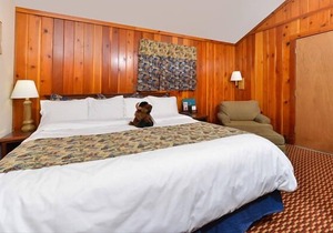 Relax & Unwind! On-site Pool and Restaurant, Close to Shoshone National Forest!