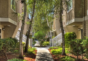 Residence Inn San Jose Campbell