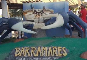 Resort Blue Marlin Cotovelo