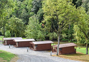 River Forge Cabin 52 - Cozy and Rustic 1 Bedroom Cabin - Creek Front