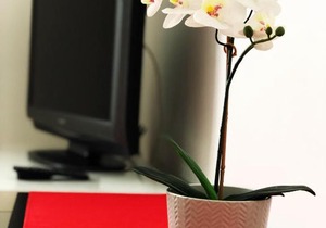 Riverside Apartment Anděl