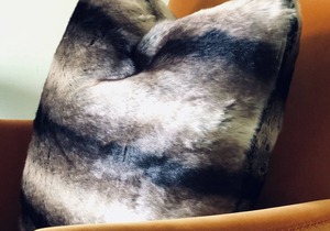 Room 7- Twin Gables of Woodstock