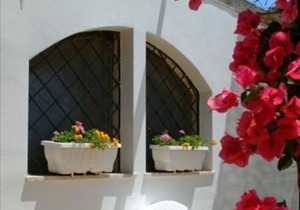Room in BB - Spacious double room in ancient Masseria near the sea in a quiet olive trees