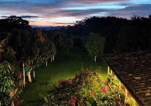 Room in Guest room - Nice place In quimbaya Quindio close to Natural parks