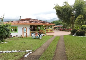 Room with 2 double beds