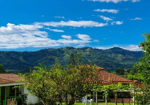 Room with 2 double beds Number 2