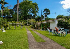 Room with 2 double beds Number 2
