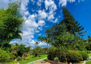 Room with 2 double beds Number 2