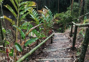 Room with 2 double beds Number 7