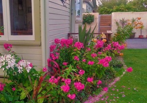 Rowan Cottage Organic B&B