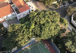 Royal Ibirapuera Park