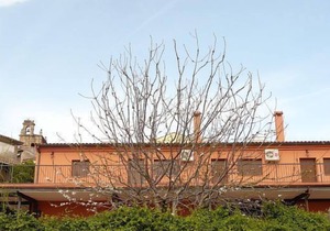 Rural apartment La Noguera for 5 people