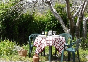 Rural apartment La Noguera for 5 people