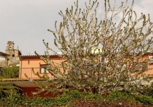 Rural apartment La Noguera for 5 people