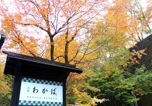 Ryokan Wakaba