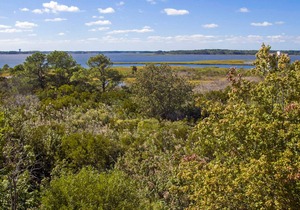 Salt Meadows Townhouse w/ Shared Pool & Free WiFi - Walk to the Beach!