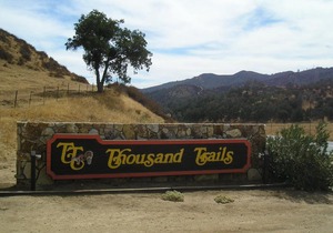 San Benito Camping Resort One-Bedroom Cabin 8