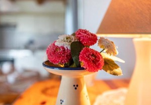 Schäferhof Dircks Fewo 1