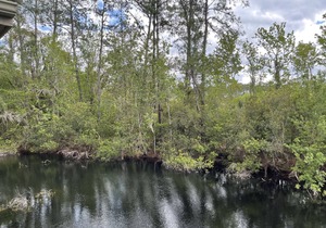 Sea Pines villa with views of the Lagoon & Landscape
