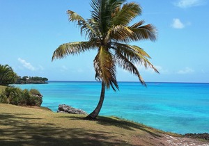 Sea View Apartment on Freight's Bay Beach