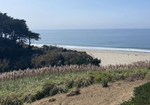 Seascape Resort Oceanfront 2 BD villa north bluff- Stunning Ocean View!