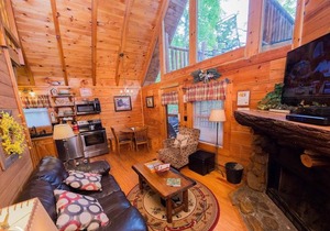 Secluded Escape - One Bedroom Cabin