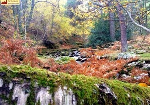 Self catering Valle de El Paular for 4 people
