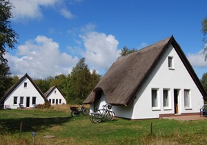 Semi-detached house (terrace) - Semi-detached house Hiddensee at Vitte