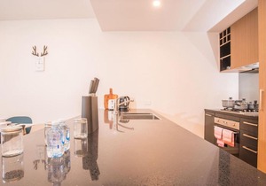 Serene Leichhardt 2bed2bath APT (Lewisham Station)