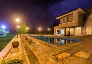 Shetty Farms
