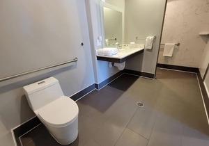 Shopping Spree at Westfield Valley Fair Shopping Mall and Santana Row! Parking