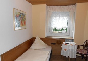 Single room, shower, toilet, non-smoking - Weinhaus Hotel Zum Josefshof