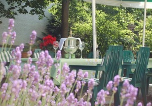 Single Room Shower/WC - Hotel-Restaurant Leander