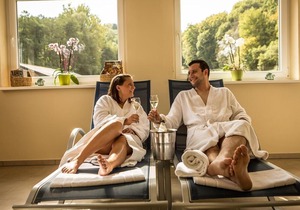 Single room Superior - Waldhotel Felschbachhof