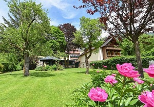 Single room with breakfast - Landhotel Pacher