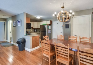 Ski-In/Out & Golf Condo w/A/C at Holiday Valley!