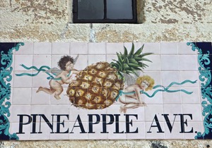 Sleeping Studio, Secure & Cute Downtown between Siesta & Lido Beaches