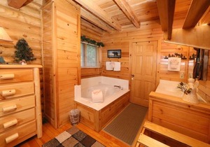 Smoky Cascades 1 Br cabin by RedAwning