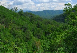 Smoky's Summit - 4 Bedrooms, 4 Baths, Sleeps 14 by RedAwning