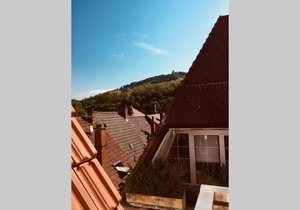 SO APARTMENTS am Marktplatz 5