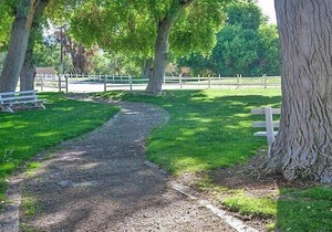 Soledad Canyon RV & Camping Resort