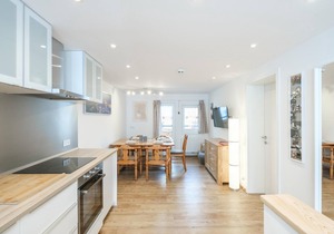 Spacious apartment with private terrace