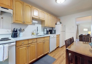 Spacious 1Bed close to Longwood Medical, Boston