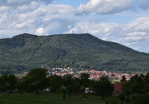 Spacious apartment (56sqm) with balcony