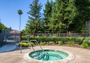 Spacious Campbell 1BR w/ W/D, Pool, Gym, walk to WF + TJ, by Blueground