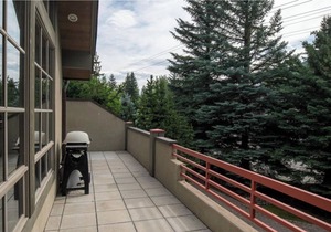 Spacious & Luxurious Warm Springs Home