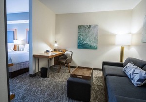 Springhill Suites by Marriott Winston-Salem Hanes Mall