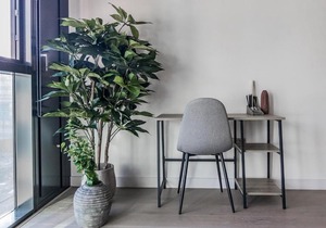 Standard Studio with Balcony in Hill House