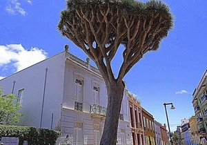 Studio - San Cristóbal de La Laguna