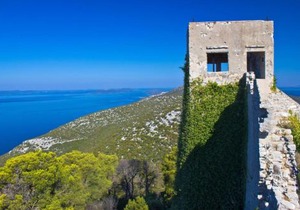 Studio Apartment in Preko with Sea View, Terrace, Air Conditioning, Wi-Fi (4574-2)